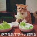 謩