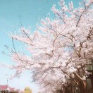 萱萱