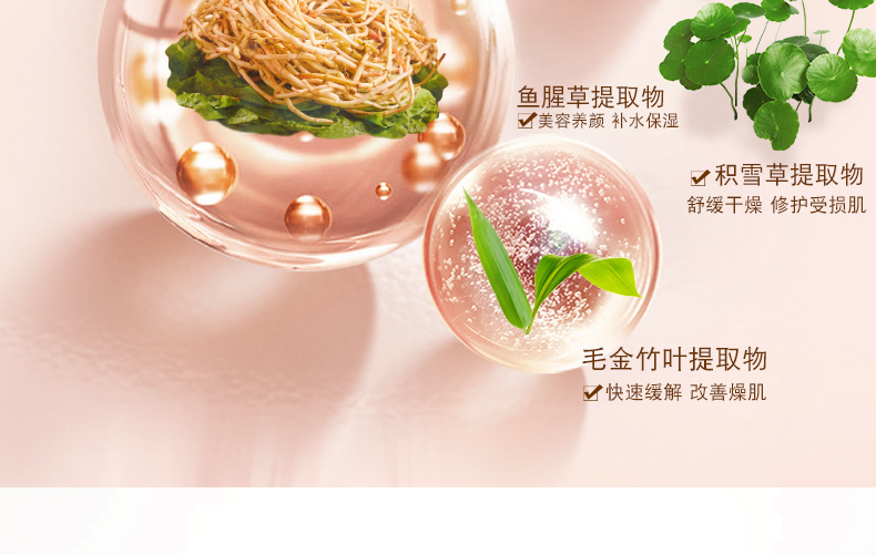 【限时优惠】银城木槿多效隔离防护粉底霜30g|防晒、隔离、防护、遮瑕