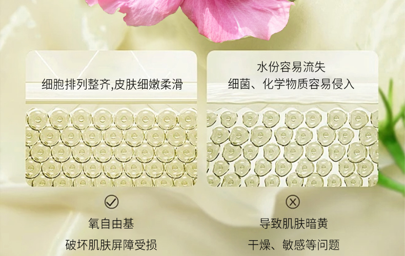 【银城木槿】木槿花雨后徜徉香氛植萃身体乳500g