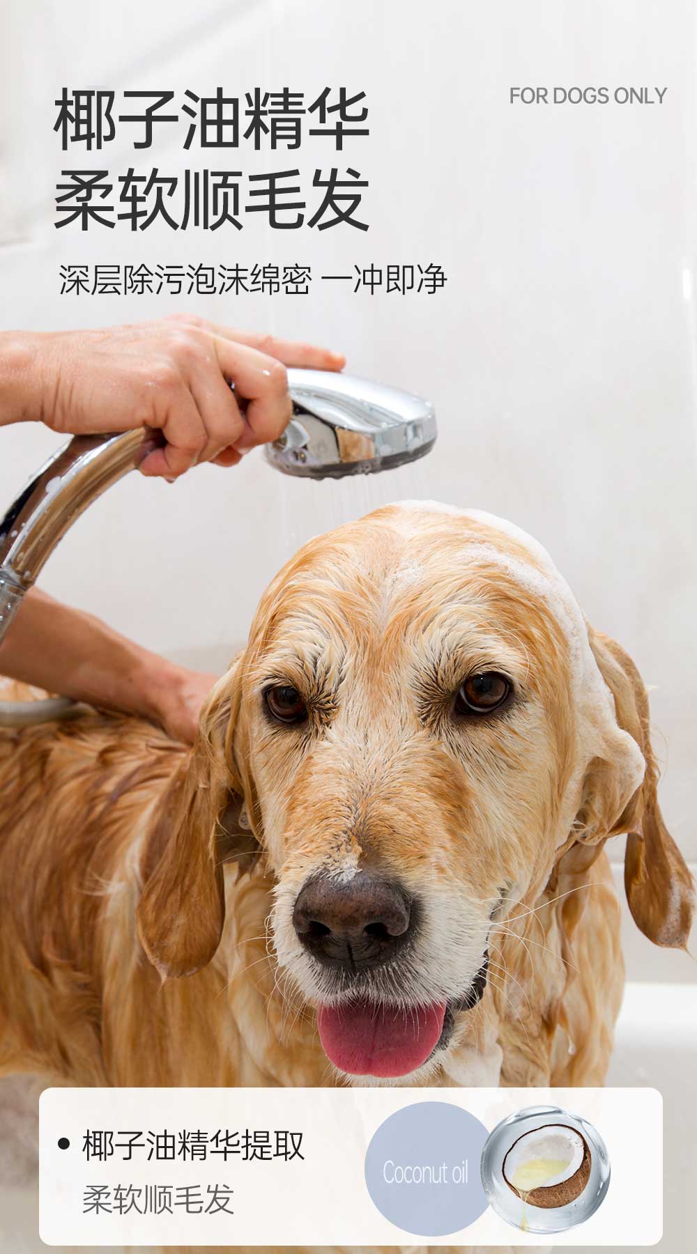 【JINCHONG今宠】全犬通用柔顺沐浴露 4L/桶 多效合一超大容量