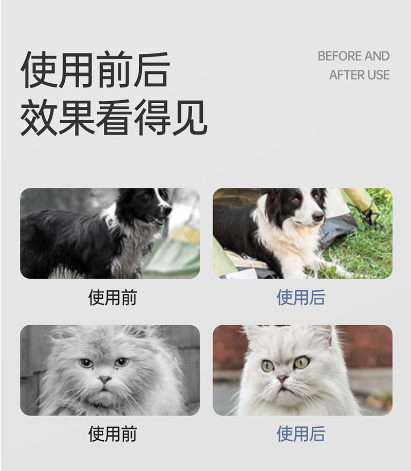 【JINCHONG今宠】宠物免洗清洁手套  6片/袋