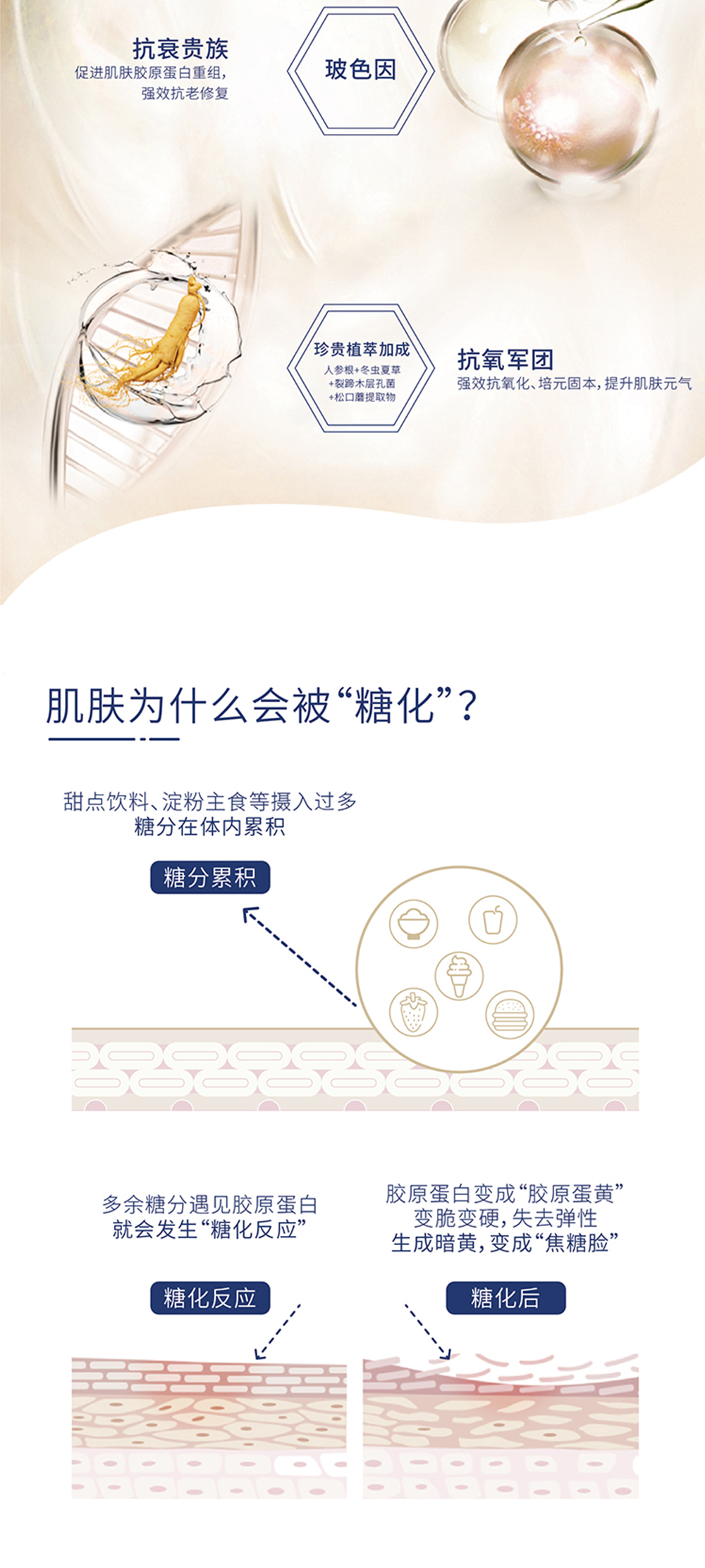 【智美之钥】多肽紧致精华液 220ml/瓶 （精华水+精华乳组合）