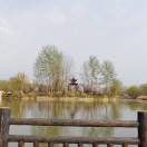 王景