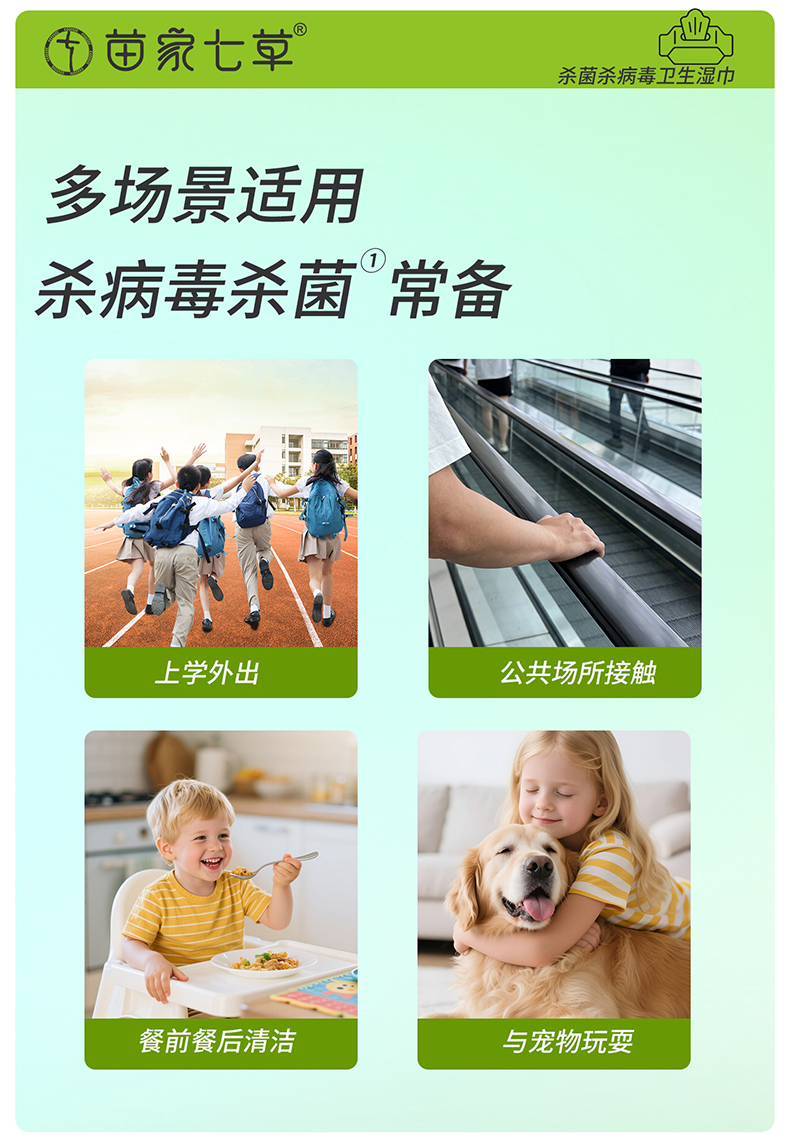 【苗七】消字号家居消杀卫生湿巾 80片/包 30包/箱 货号GM149