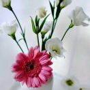 郭燕芳