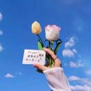 秦壮壮